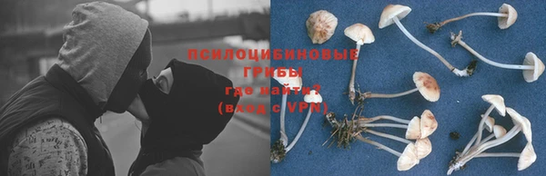 амф Переславль-Залесский