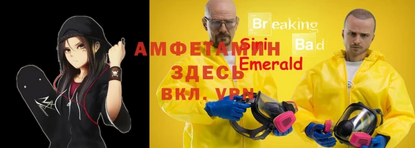 твердый Алексеевка