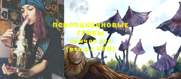 твердый Алексеевка